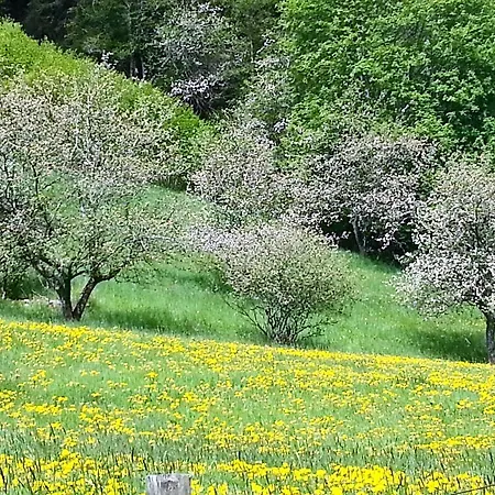 Dampskipskaia Aurlandsvangen