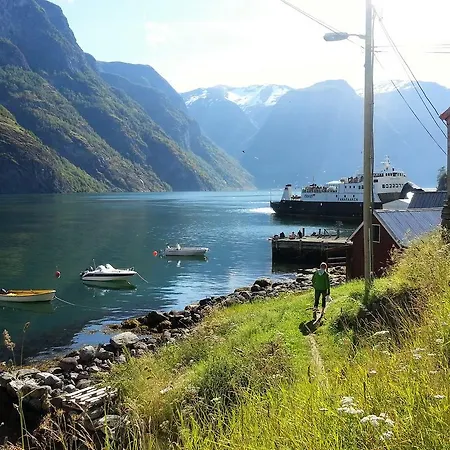 公寓 Dampskipskaia Aurlandsvangen